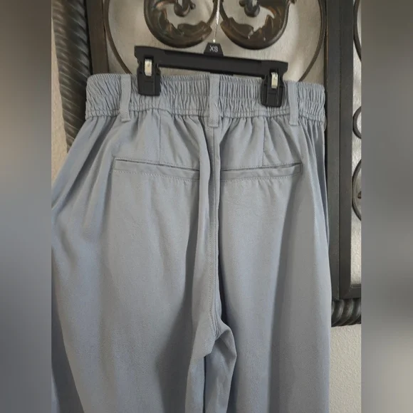 Madewell The Neale Wide-Leg Pleated Trousers In Color Overcast
